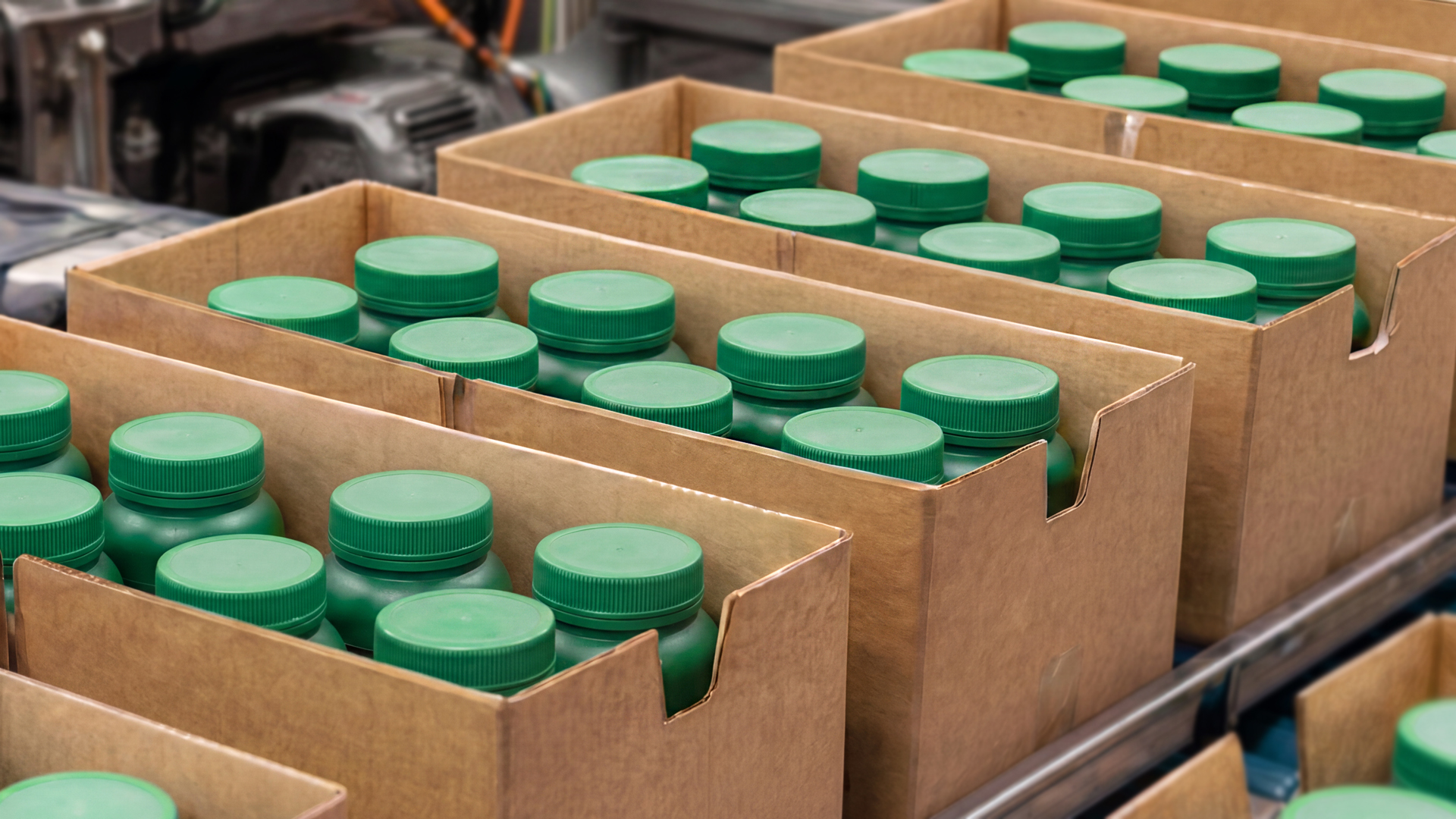 Supplement Cases